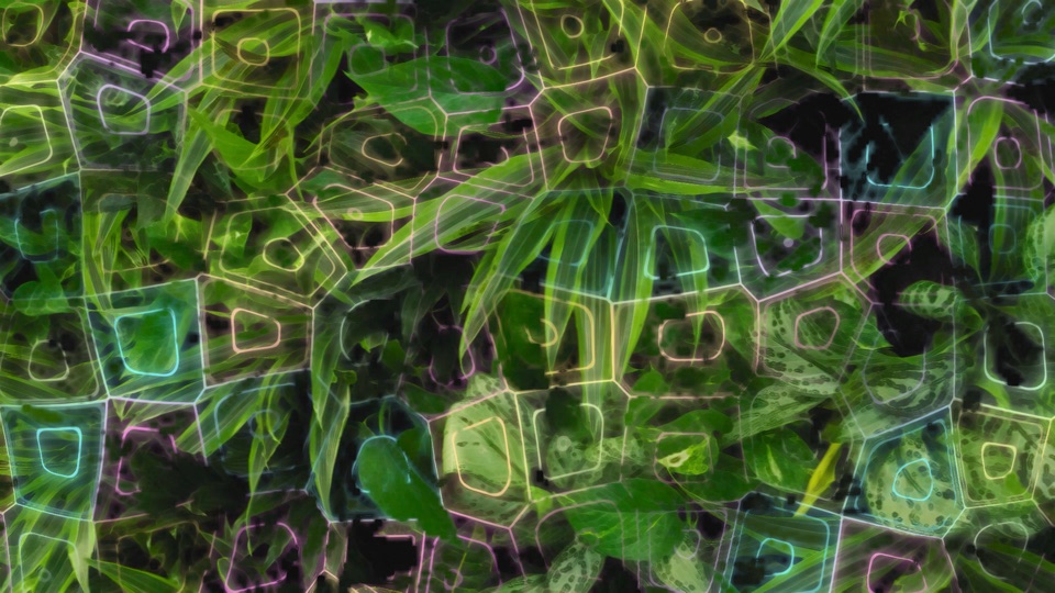 Cell Division: irregular living cells with glowing walls over dense leaves