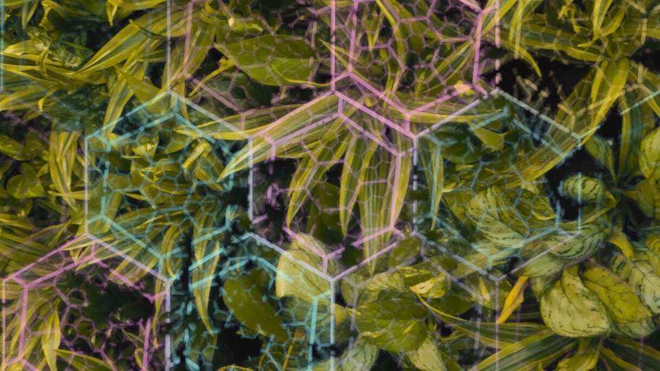 Snow Galaxy: spiralling hexagon snowflake tiles over dense leaves