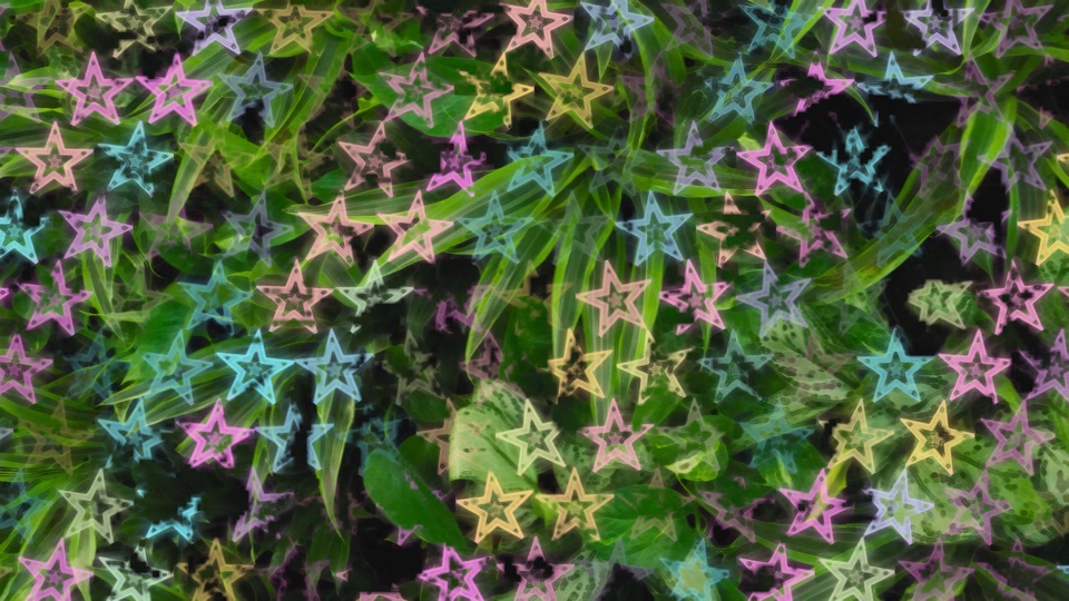 Super Star: five-pointed stars in iridescent colors over dense leaves