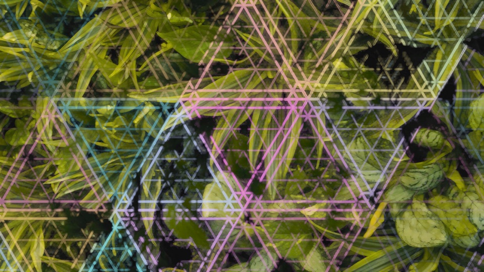 Third Eye: triangles splitting into smaller triangles over dense leaves