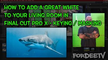 add great white